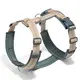 Padded Easy Walk Harness Dogs Wholesale - PairuiPets 3