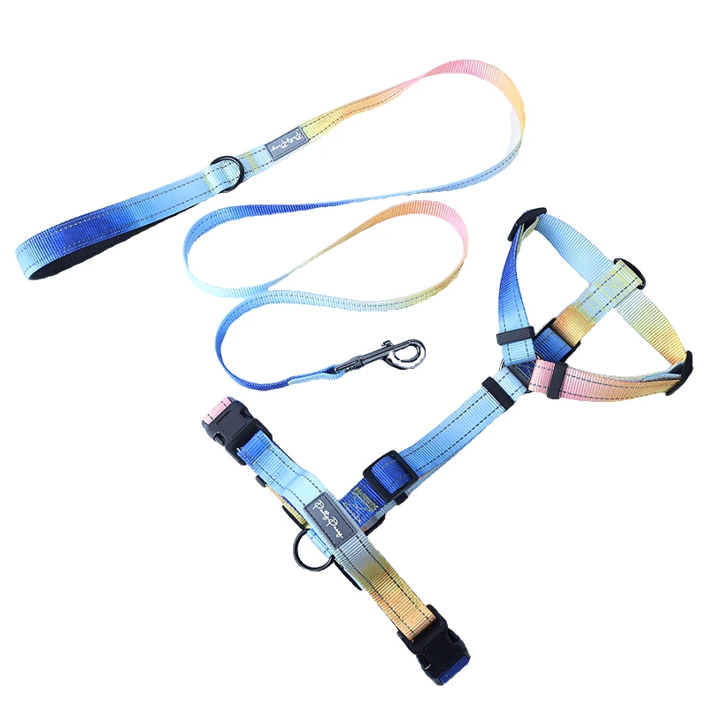 PAIPRUIPETS Harnais de teckel sans traction en forme de I Harnais de sécurité pour animaux de compagnie Harnais de chien personnalisé étanche 1
