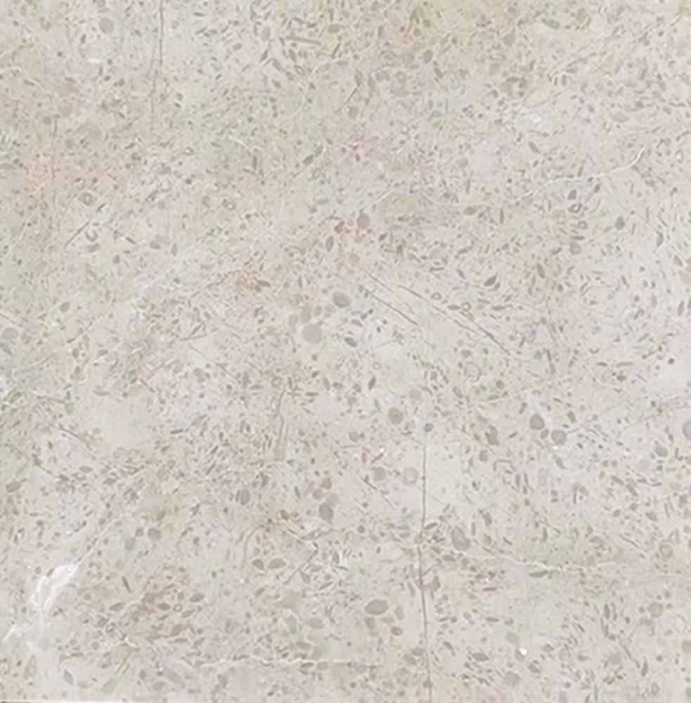Frans Beige Limestone Big Slab For Wall panel 1