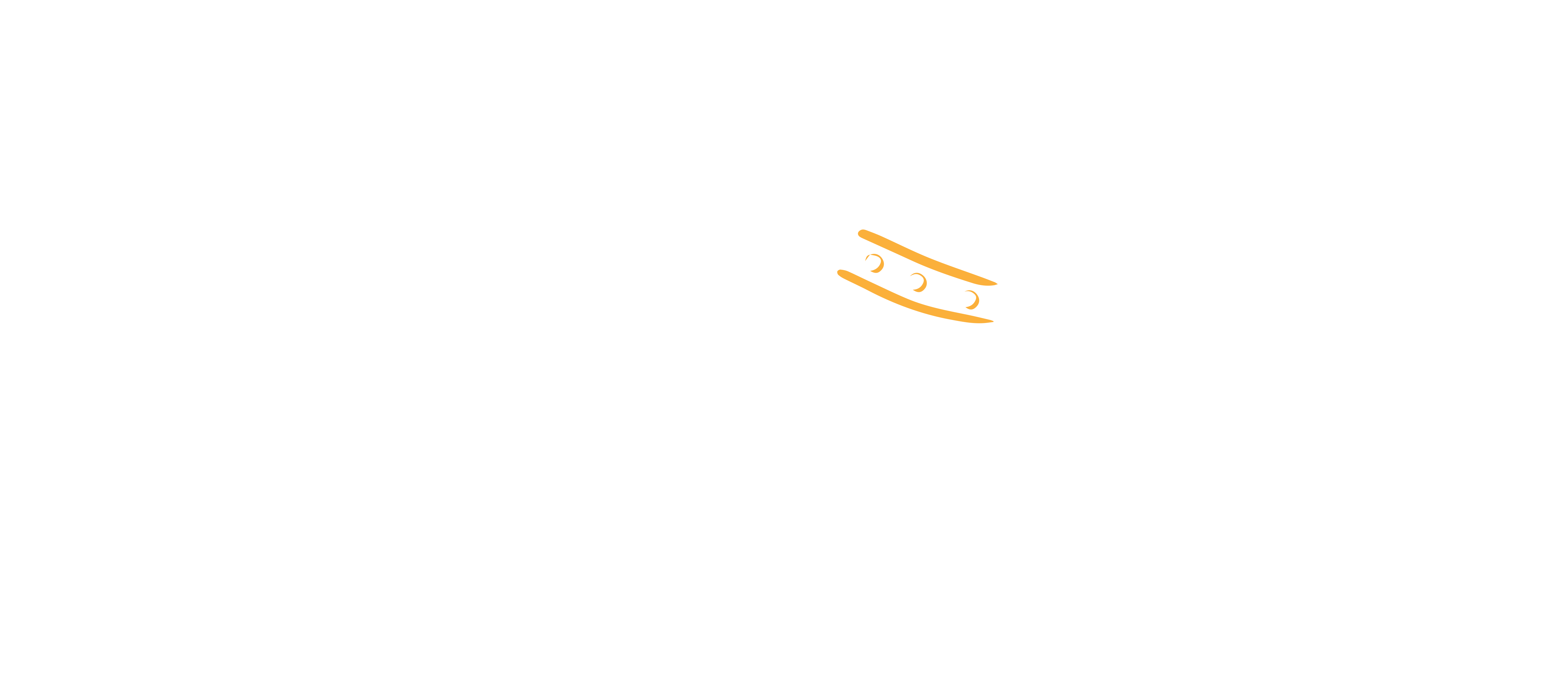 Custom Dog Harness Manufacturer Supplier Purespet custom-dog-harness-manufacturer-supplier-purespet