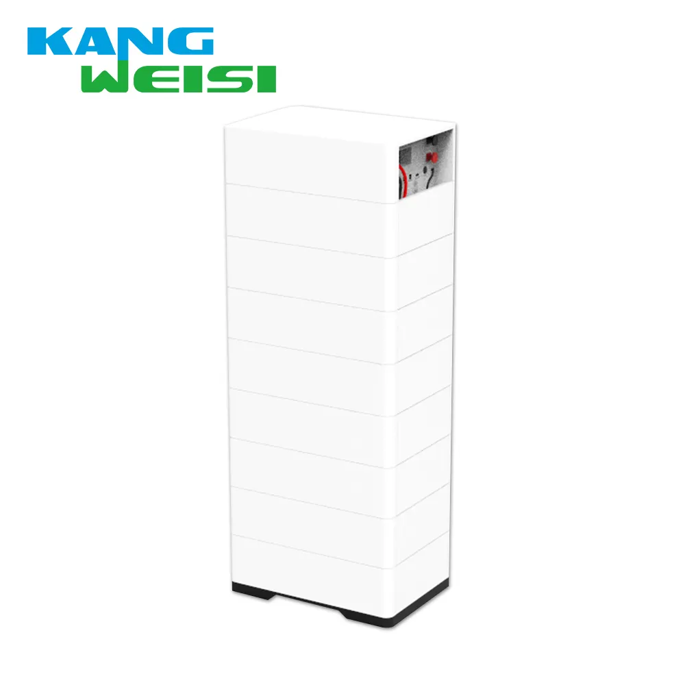 Lithium Ion Wholesale LiFeP04(LFP) by Kangweisi 6
