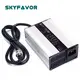 Battery Chargers Manufacturer by SKYFAVOR-7 2