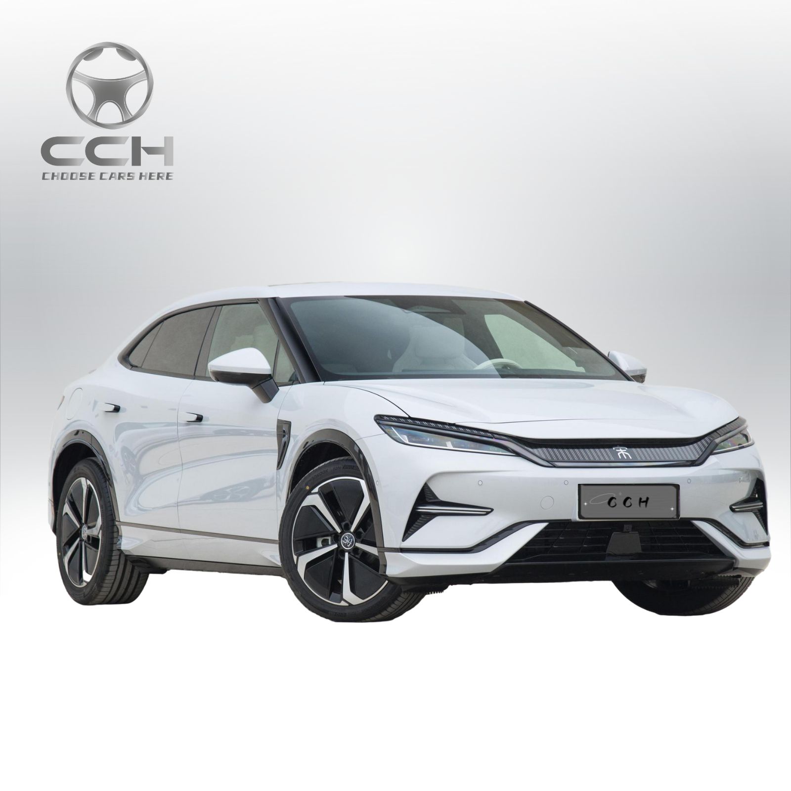 Carro BYD Song L EV com 550 km Modelo de Excelência 2025 China Veículo Elétrico 5 Portas 5 Assentos SUV Novos Veículos de Energia para venda barata 3