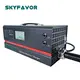 Industrial Battery Chargers Manufacturers by SKYFAVOR 3