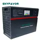 Best Industrial Battery Charger by SKYFAVOR 5