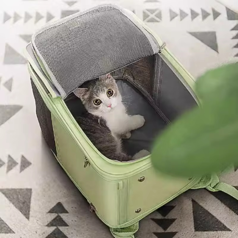 Green-Going Out Cat Portable Bag Double Shoulder Backpack with Large Capacity Breathability and Comfort 1