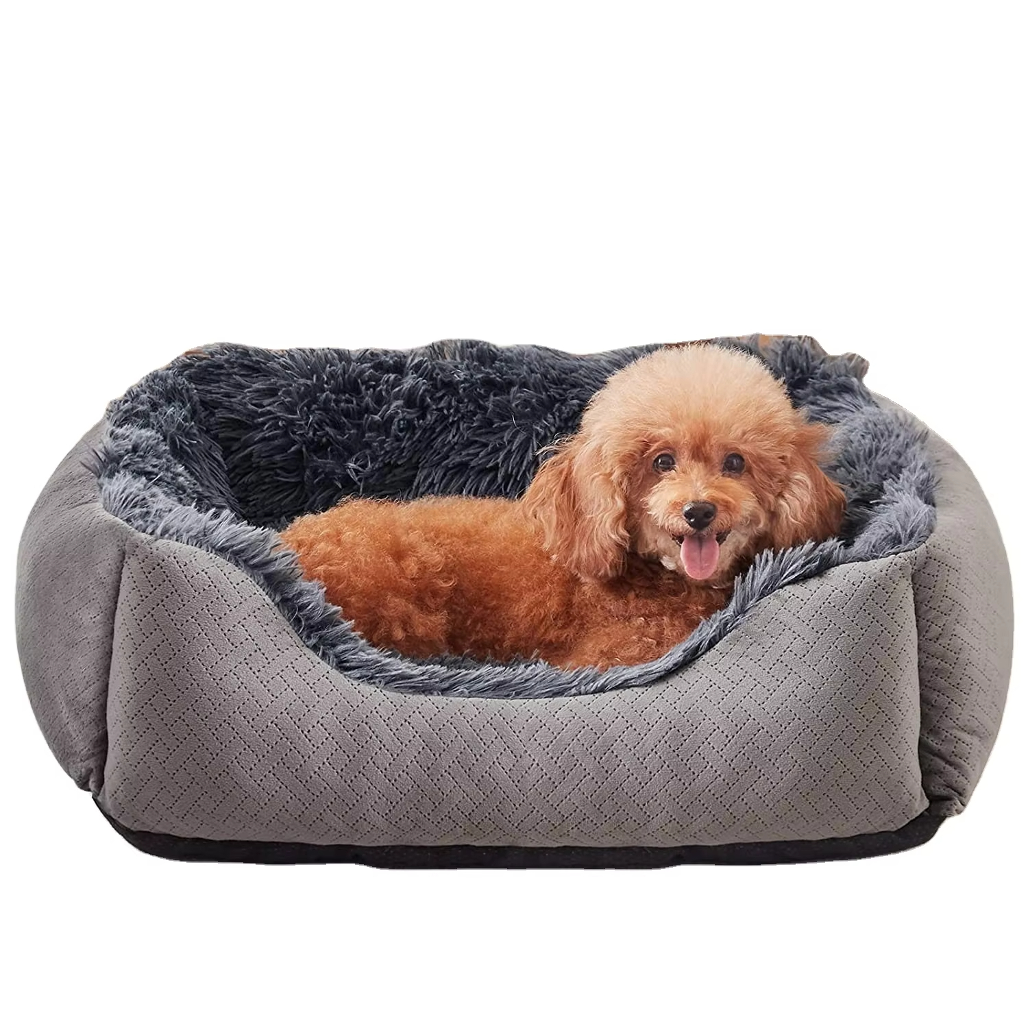 Gray-Hot koop kattenslaapbank Leuk en comfortabel kattenhuis geschikt voor kleine katten 1