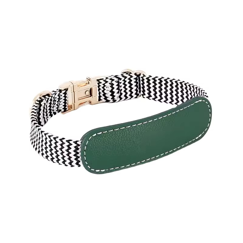 Groen-huisdierhalsband Modieus patroon Nylon hondenriem en halsbandset voor huisdieren buiten 1