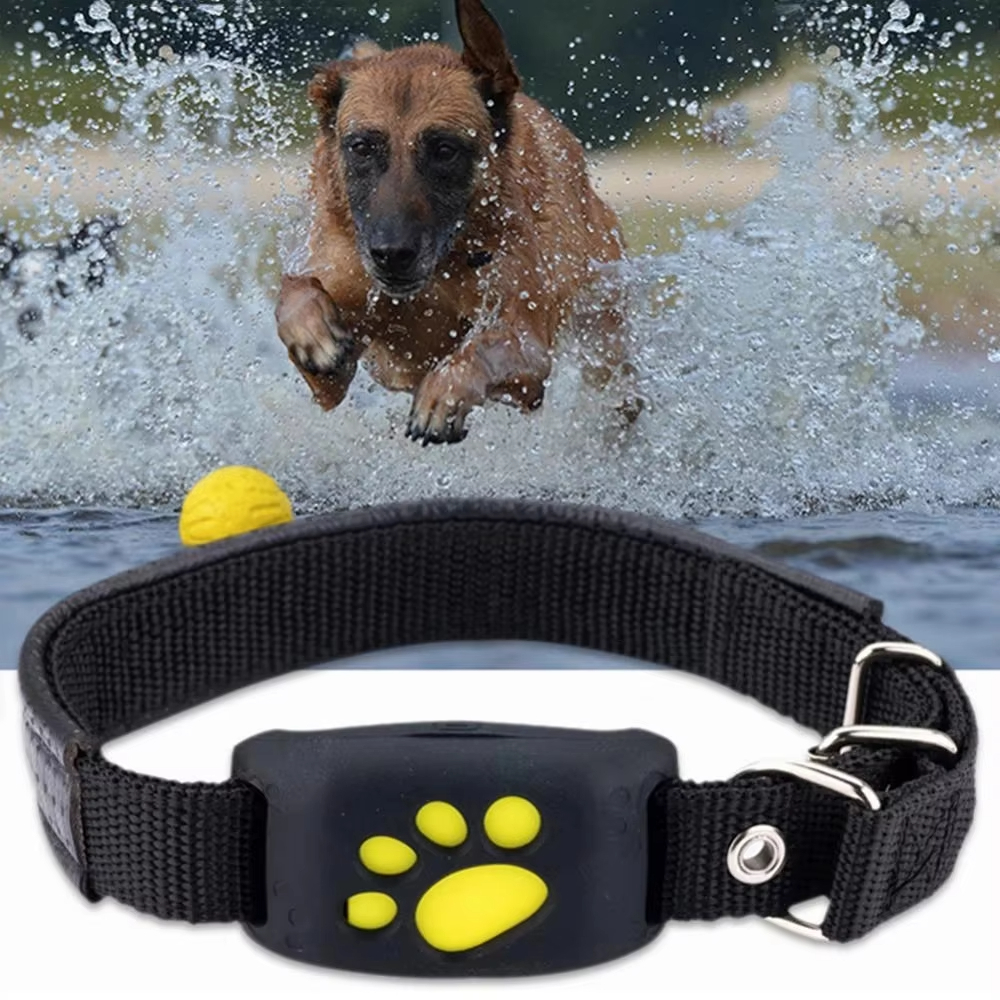 Zwart-real-time tracking Smart Fencing Pet Collar GPS Tracker voor hond Vogel Duif Dier Anti-verloren apparaat 1