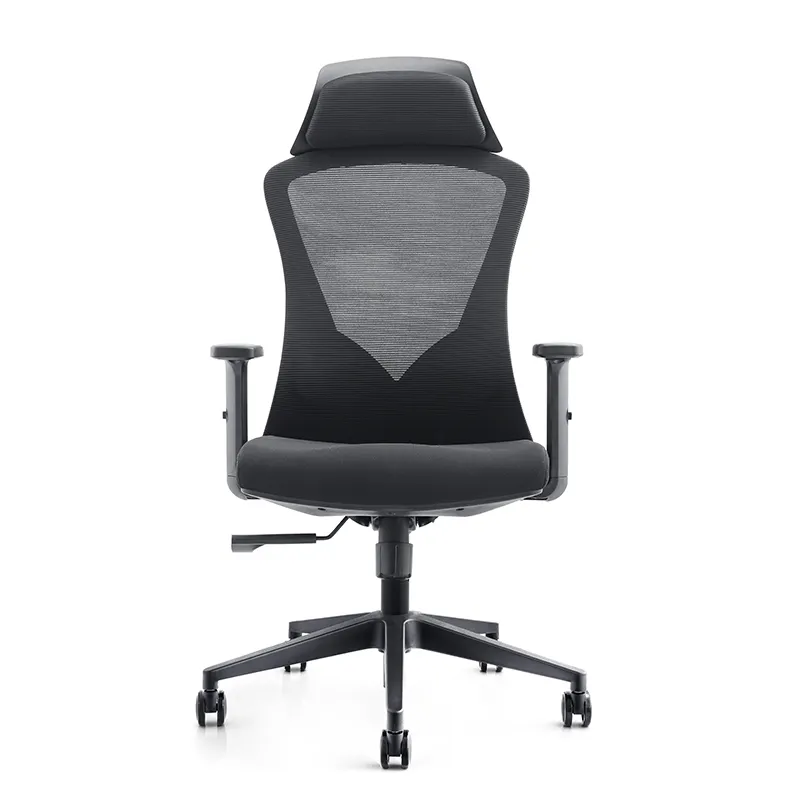 Presidente de la Oficina Ejecutiva de Dominios Pesados ​​vs Beneficios ergonómicos 1
