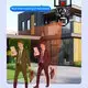 Ip Camera System for Home - for Home - VESAFE 4
