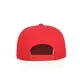 Flat Brim Snapback Wholesale - TANGREN 3