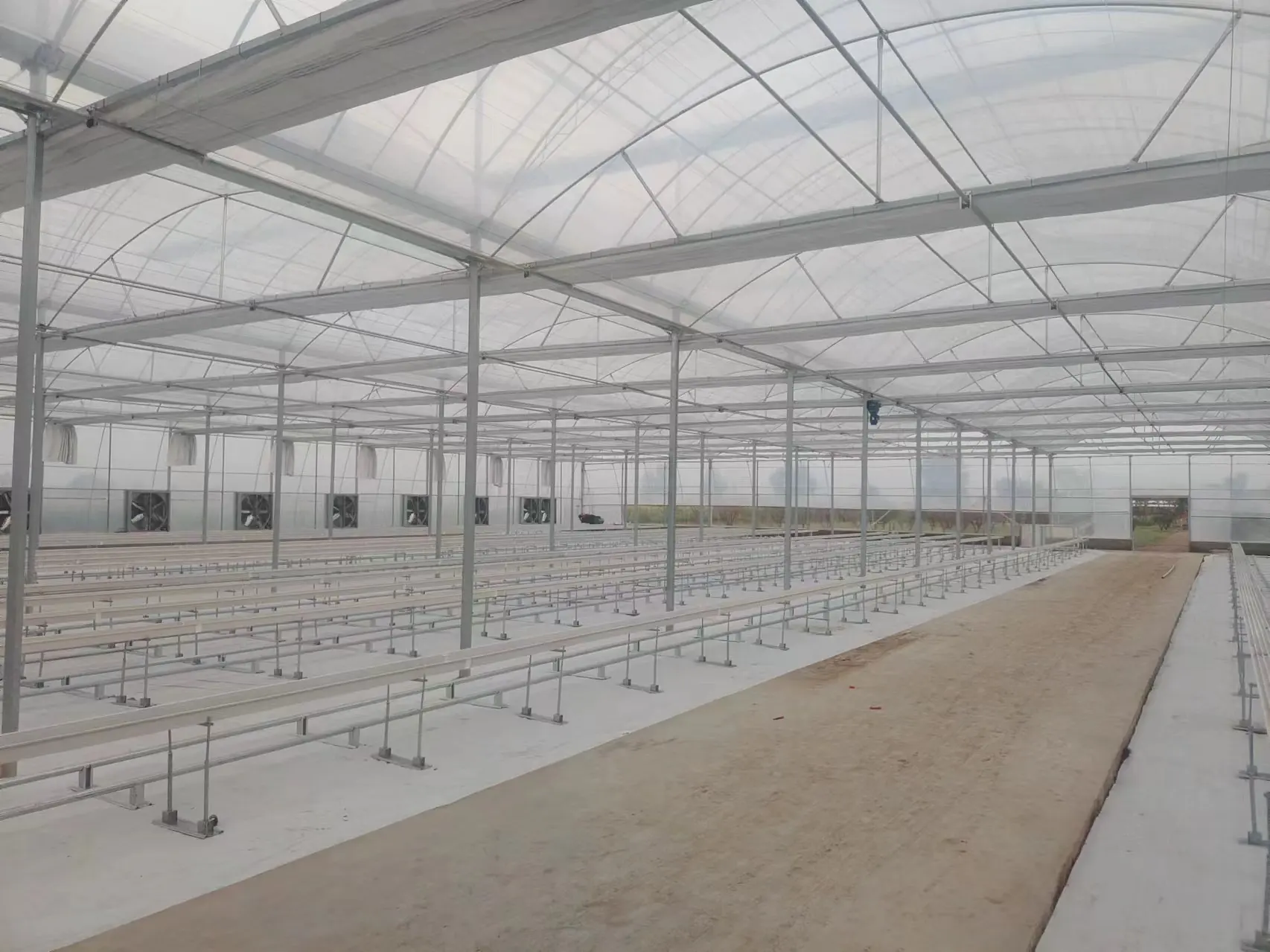 Greenhouses for Sale 1500 Square Meter - - Jianda Greenhouse 2