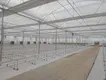 Greenhouses for Sale 1500 Square Meter - - Jianda Greenhouse 2