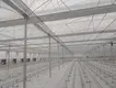 Custom Greenhouses T/T - - Jianda Greenhouse 3
