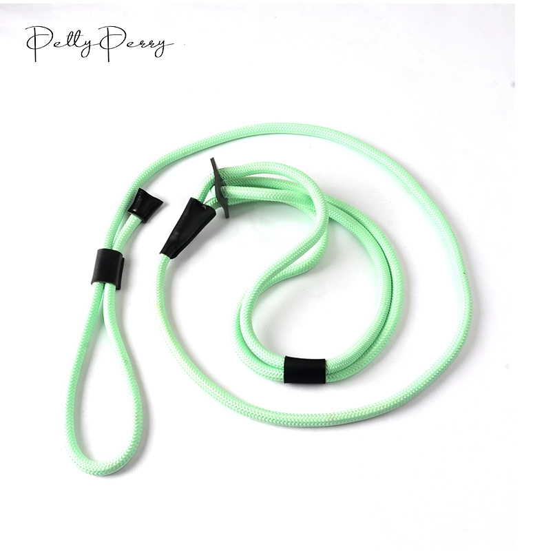 PAIRUIPETS Heavy Duty Reflective Soft Padded Nylon No Pull Pet Cat Dog Training Lead Rope Leash For Dog 1