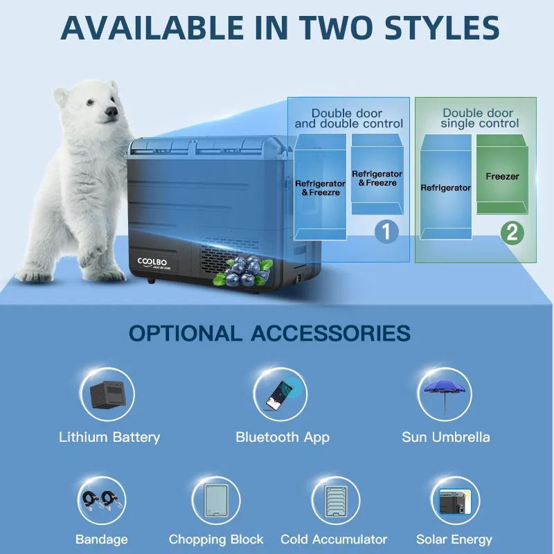Compressor Refrigerator 12v New Arrival for Marketplace 5