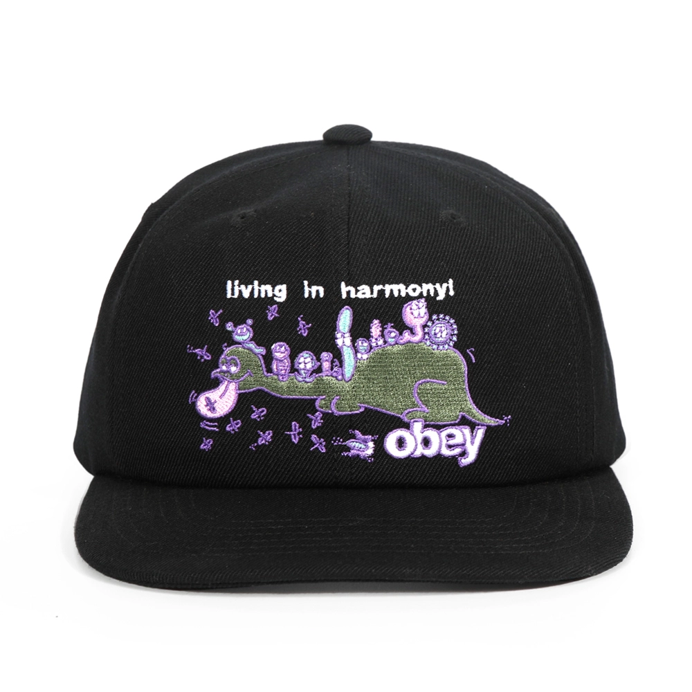 Классическая кепка Snapback с 6 панелями и неструктурированной вышивкой 1