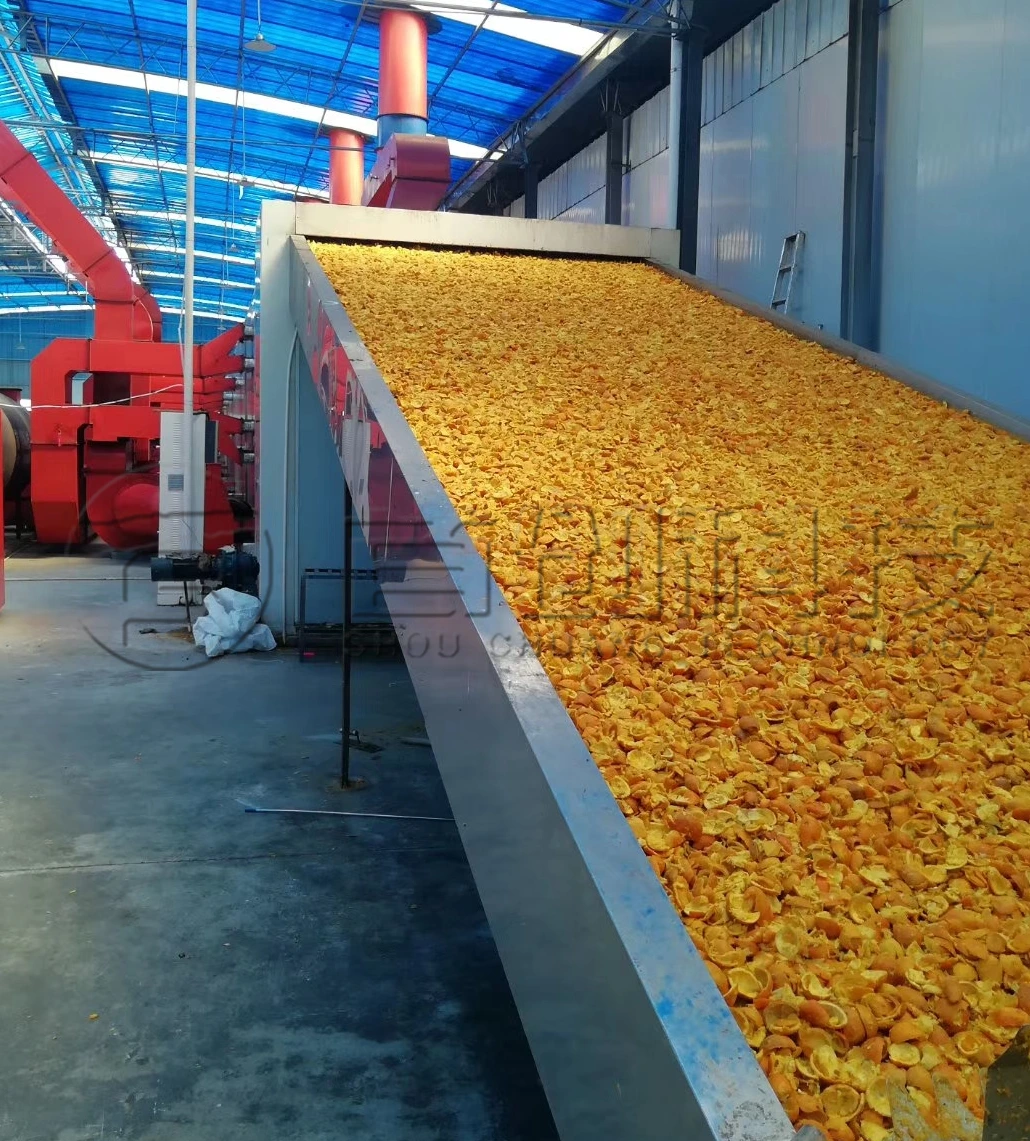 Mesin Seri Pengeringan Pomace Efisiensi Tinggi dan Biaya Operasi Rendah 1