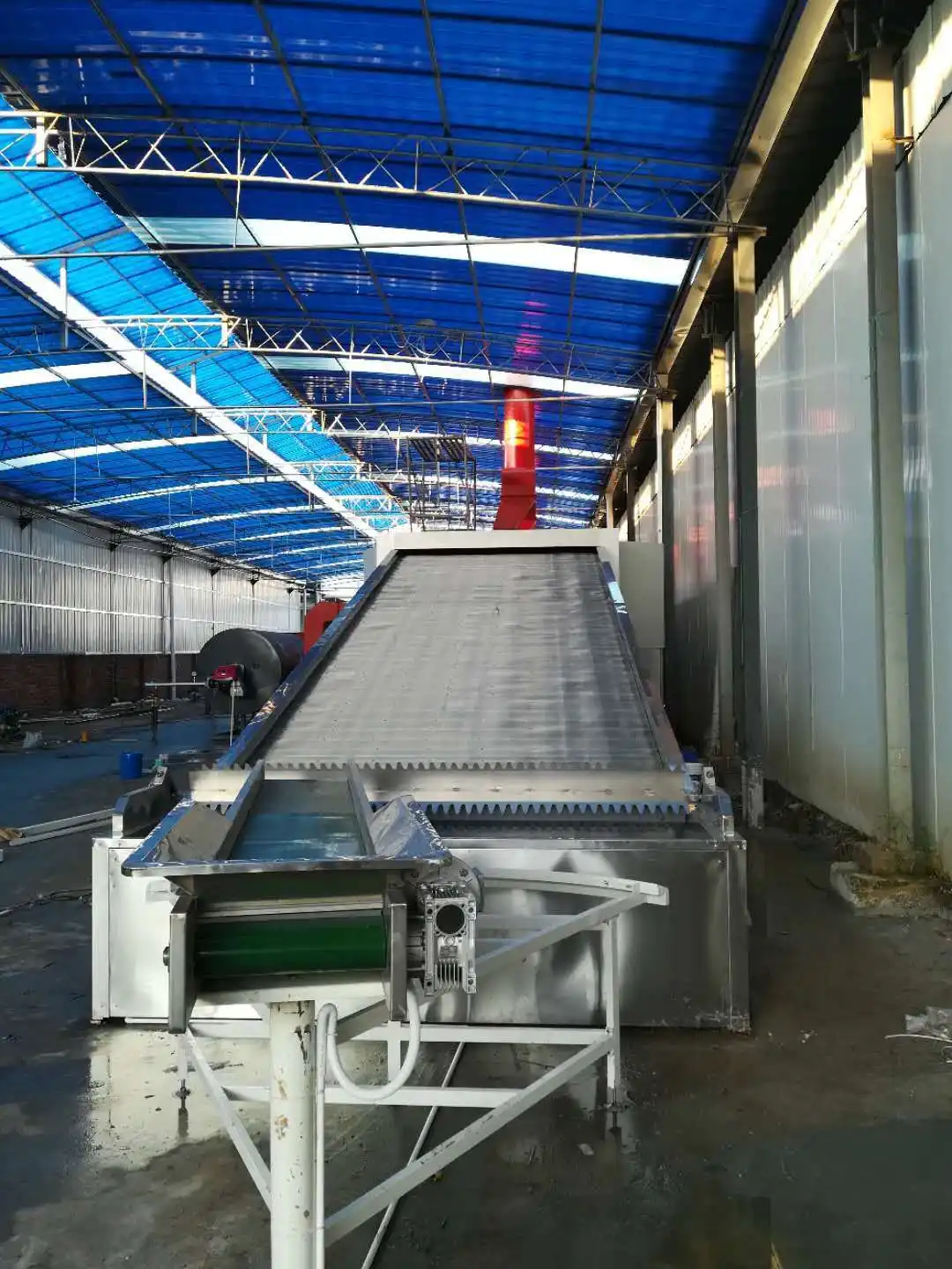 Grapes Dryer Machine by ShouChuang 2