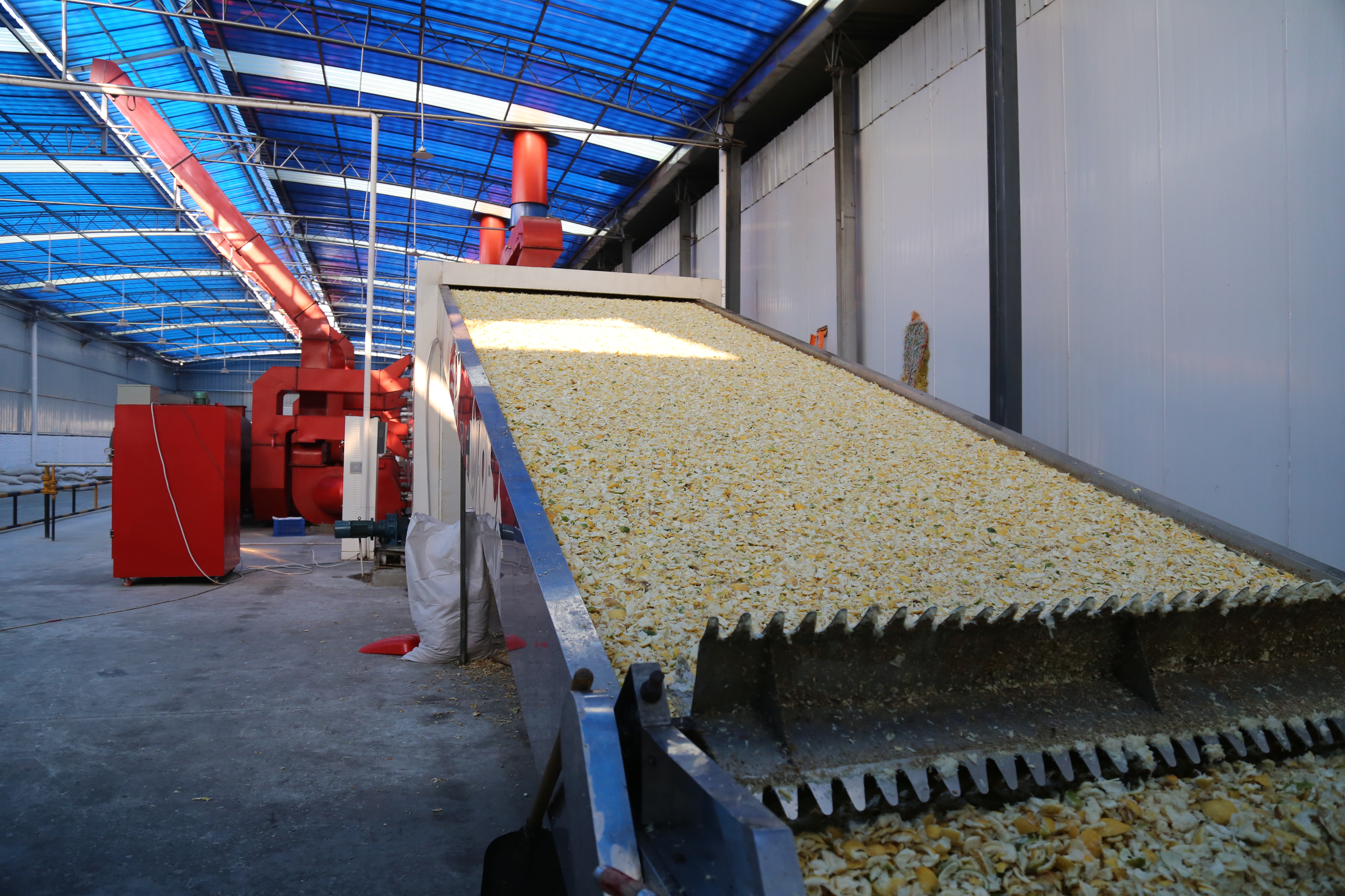 Banana Drying Machine Upplier 4