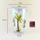 Old Fashioned Glasses Set Custom-make by Xinguo 5