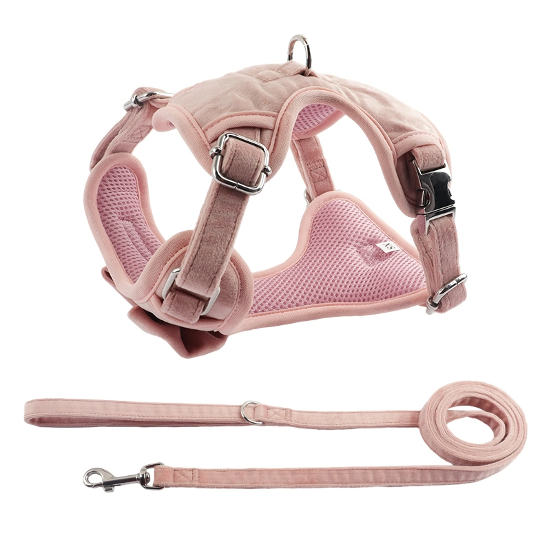 PAIRUIPETS Harnais de laisse pour collier de chien léger en velours 1