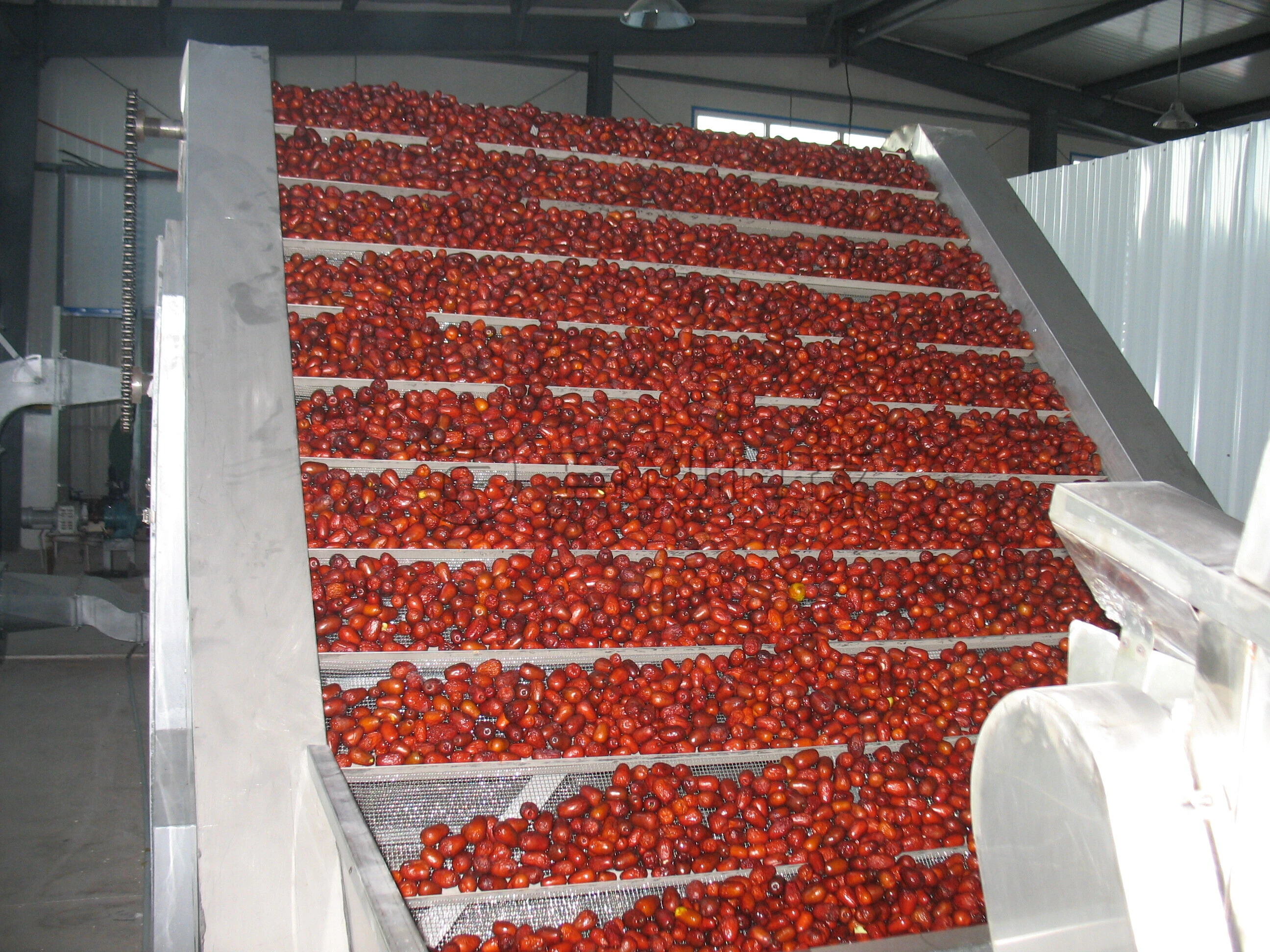 Hot Air Dryer With High Capacity Use Steam Gas+Electric For Industrial Large Red Jujube Processing Plant 1