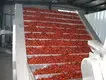 Vegetable Dryer Machine - - ShouChuang 1