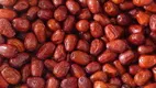 Vegetable Dryer Machine - - ShouChuang 2