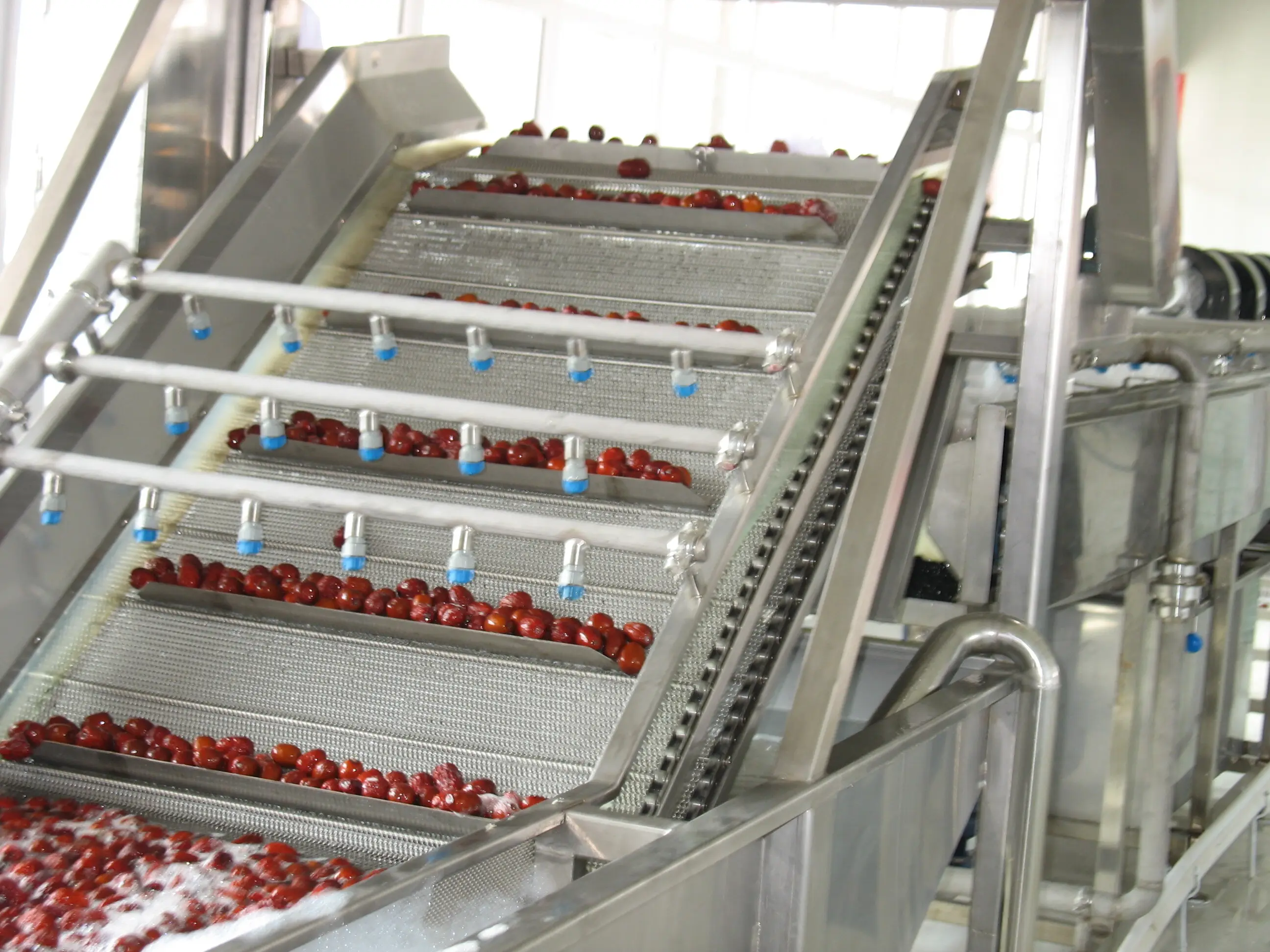 Vegetable Dryer Machine - - ShouChuang 3