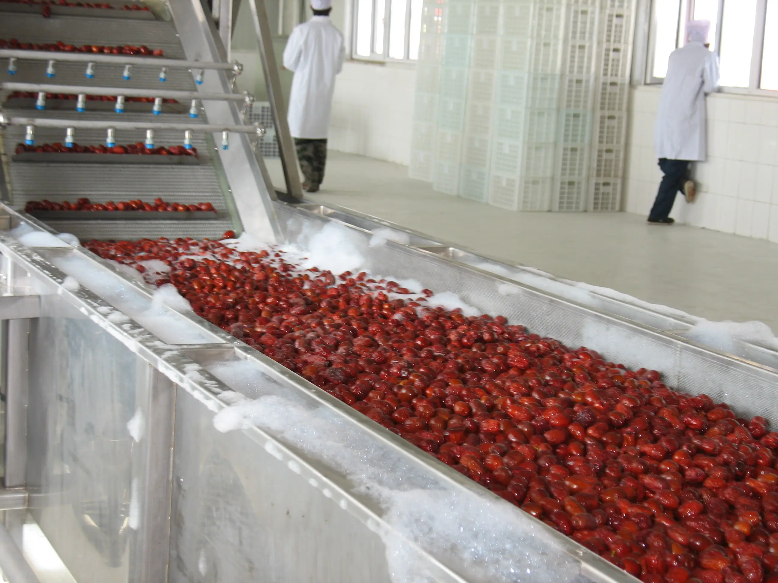 Vegetable Dryer Machine - - ShouChuang 4