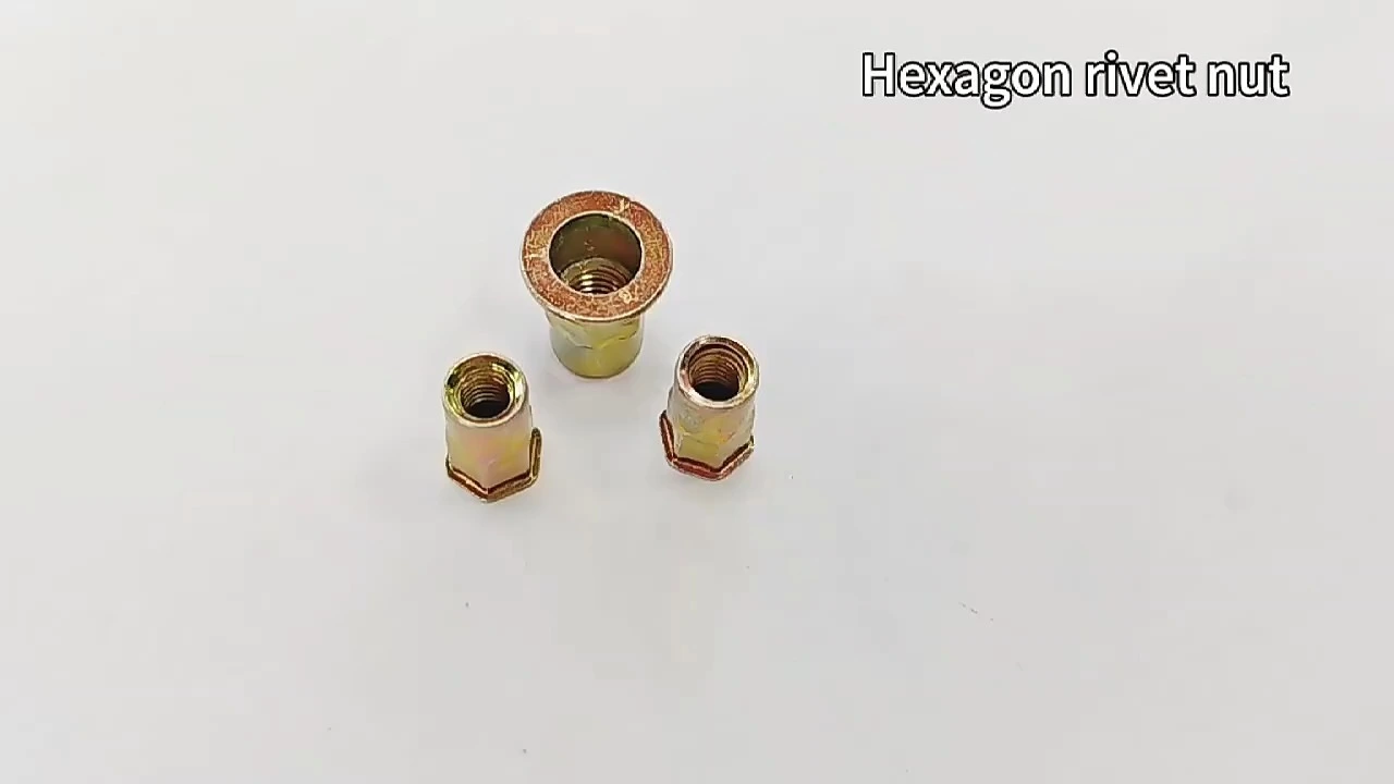 Diseño único de alta calidad M2 M3 M4 M5 M6 M8 M10 1/4 5/16 3/8 Acero inoxidable Acero al carbono Rivnut Cabeza plana Cabeza avellanada Tuerca de remache hexagonal 1