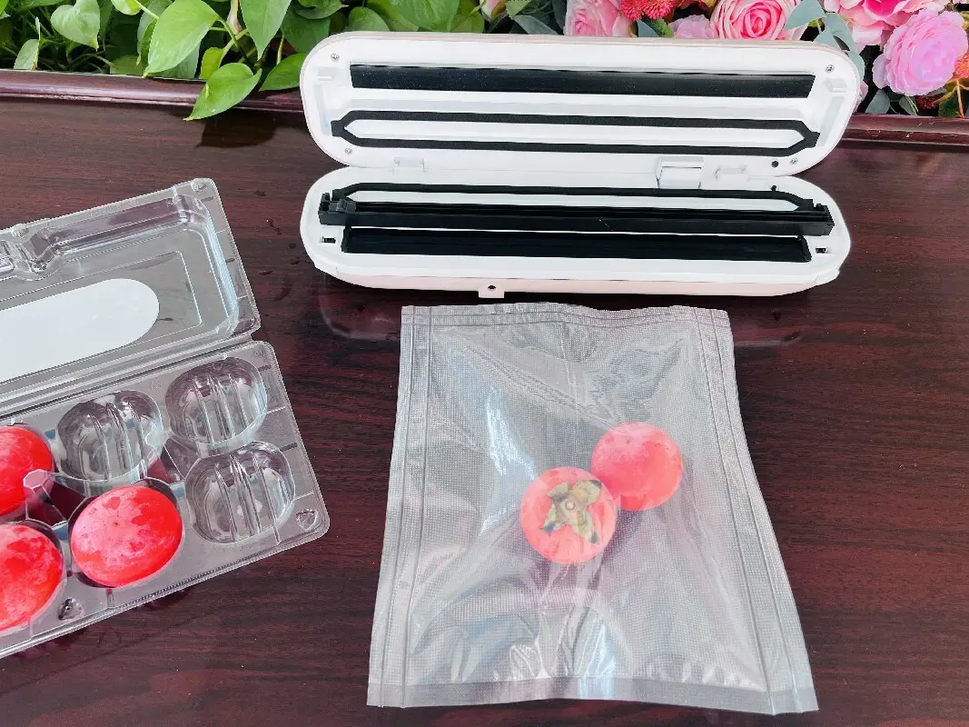 Vacuum Sealer Manufacturing 3