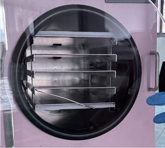 Household food vacuum freeze dryer 2