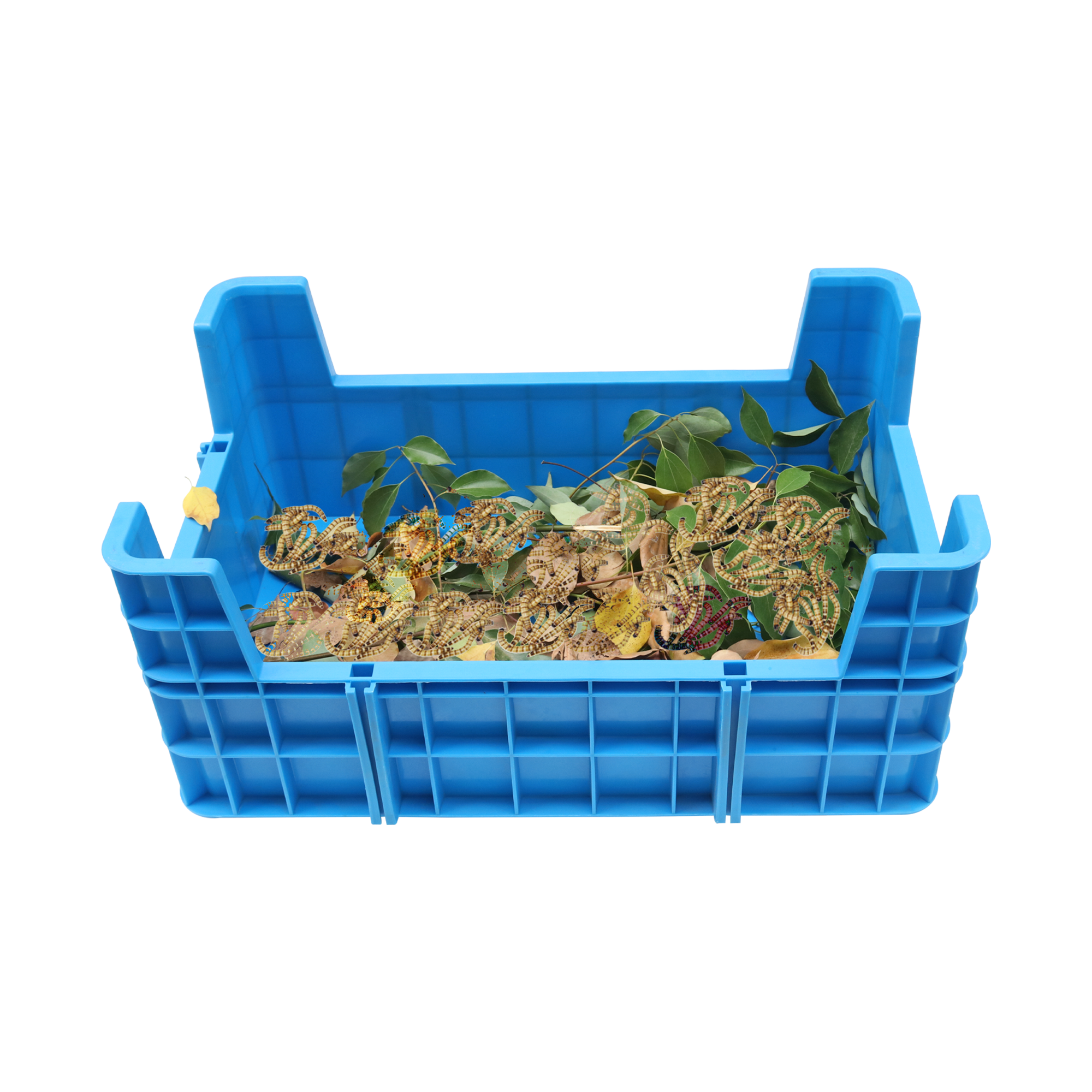 Dimensiune personalizată Pp Cutie de plastic stivuită Cu patru colțuri Cutie de reproducere a insectelor Coș stivuitor Tavă de plastic Tavă de reproducere a viermilor de făină 9