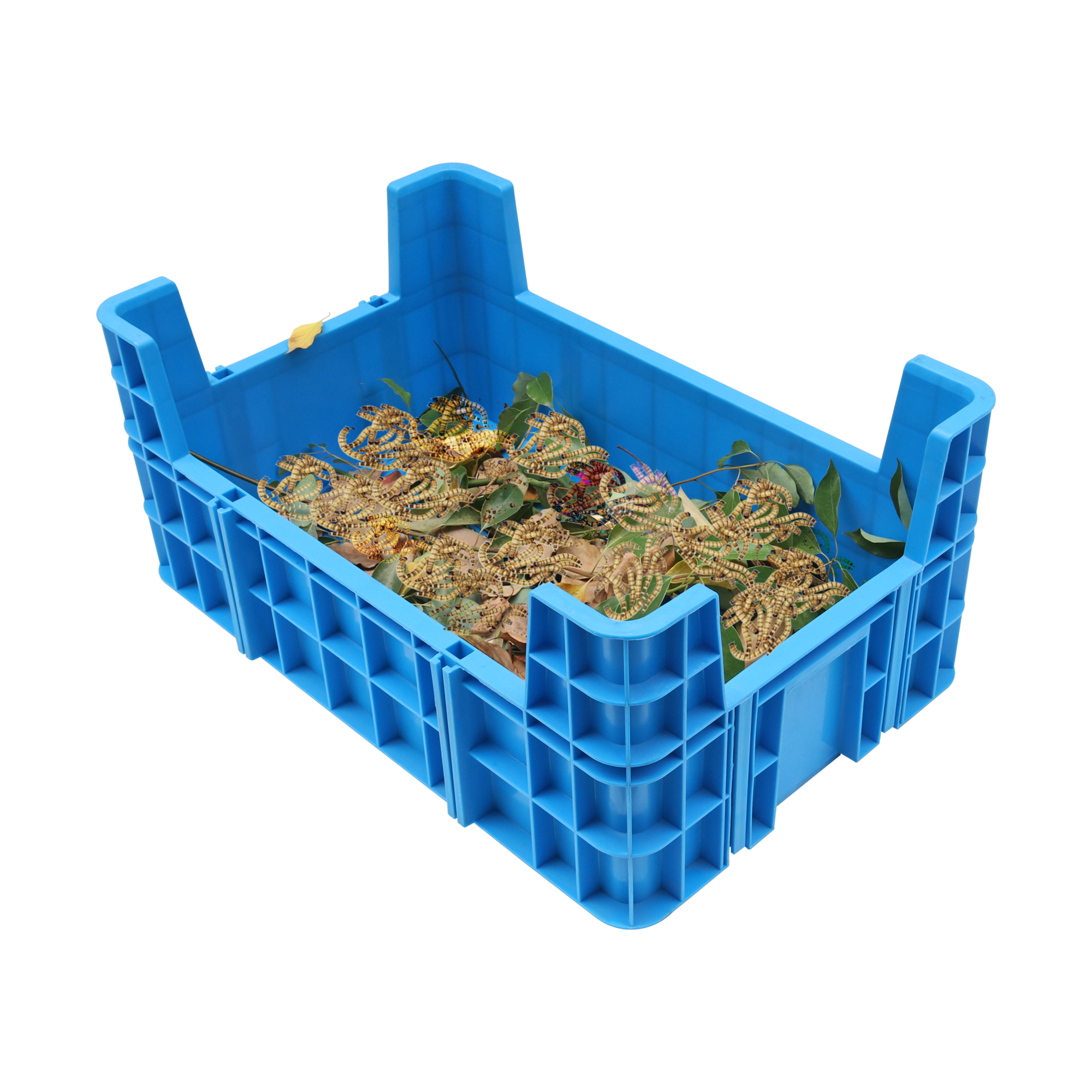 Dimensiune personalizată Pp Cutie de plastic stivuită Cu patru colțuri Cutie de reproducere a insectelor Coș stivuitor Tavă de plastic Tavă de reproducere a viermilor de făină 2