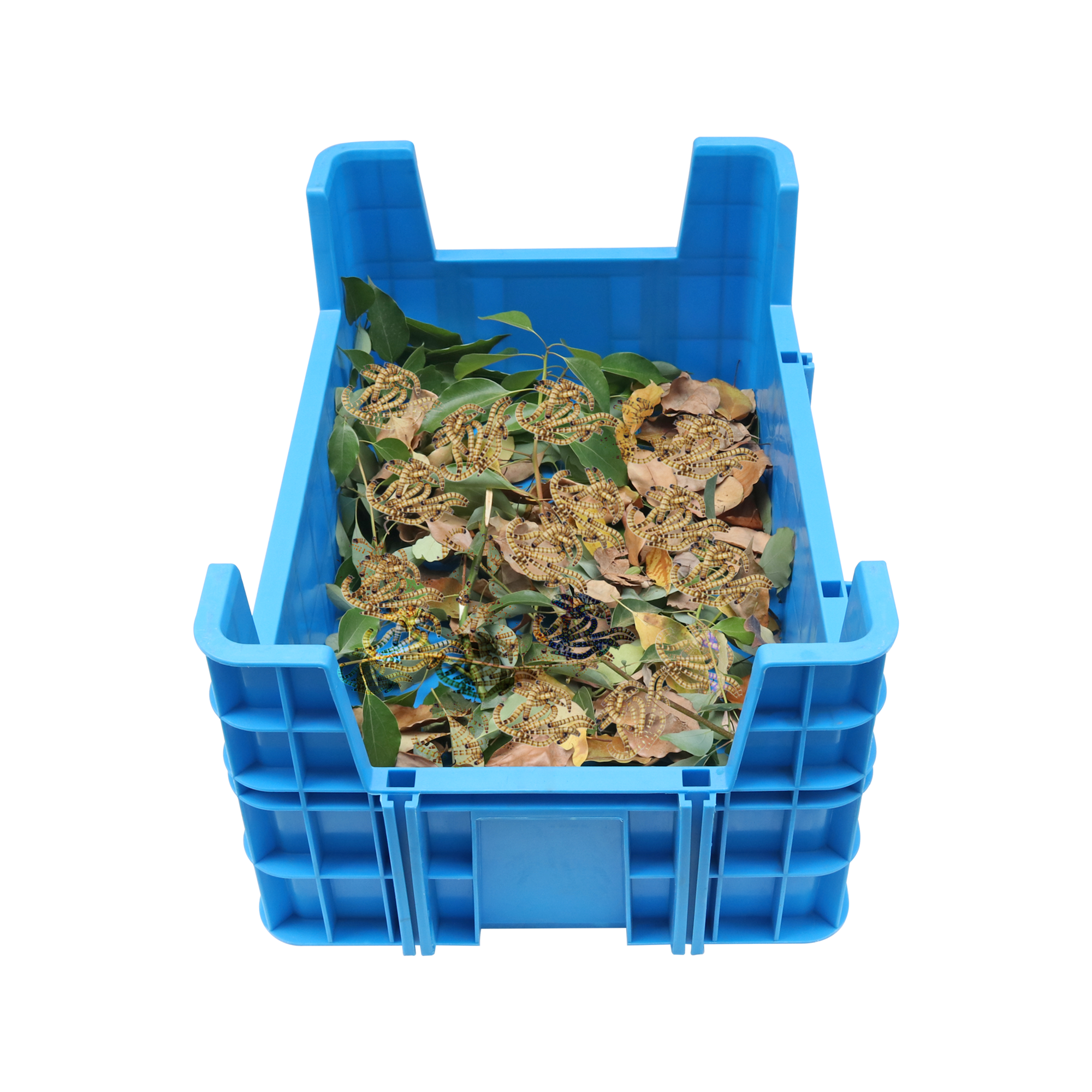 Dimensiune personalizată Pp Cutie de plastic stivuită Cu patru colțuri Cutie de reproducere a insectelor Coș stivuitor Tavă de plastic Tavă de reproducere a viermilor de făină 5