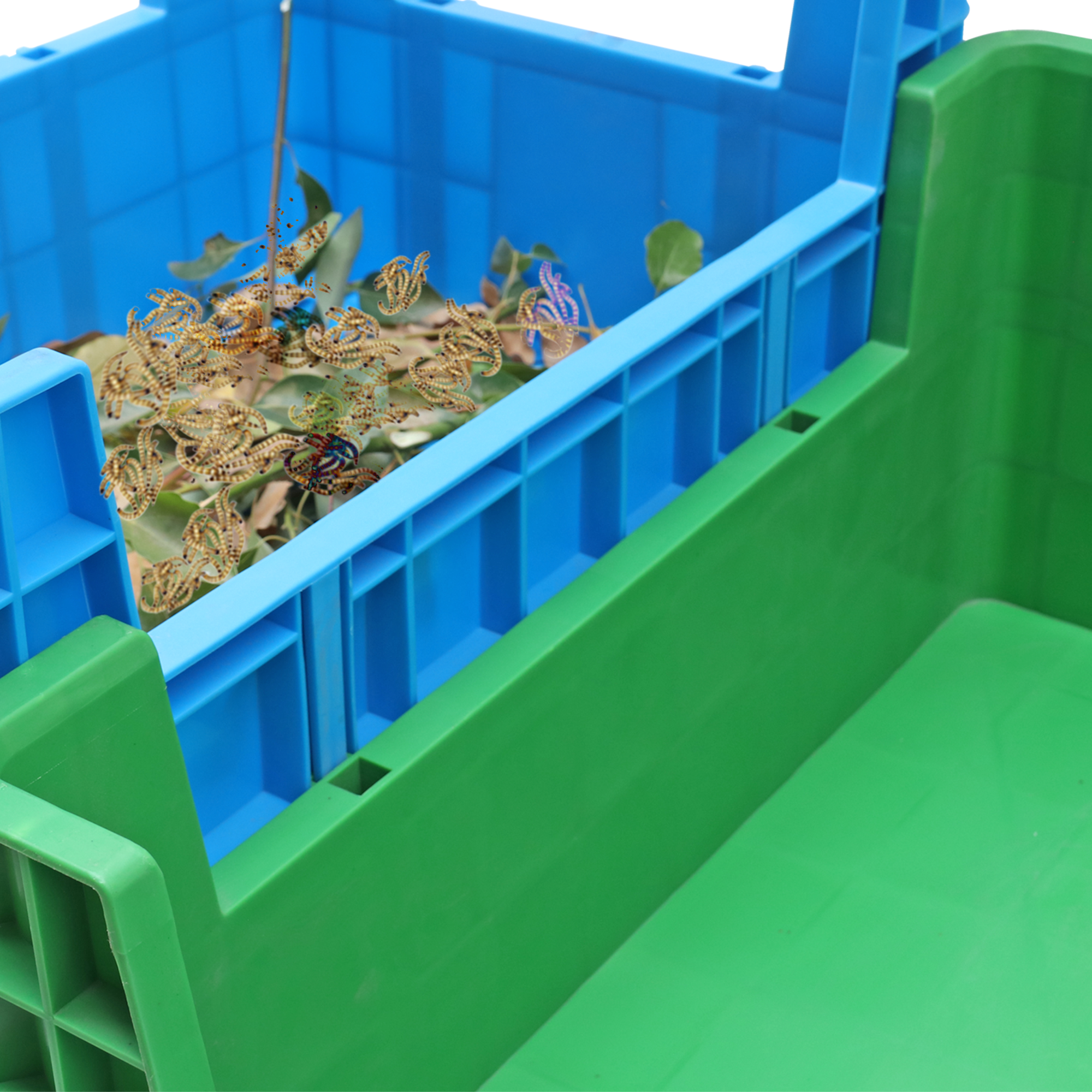 Dimensiune personalizată Pp Cutie de plastic stivuită Cu patru colțuri Cutie de reproducere a insectelor Coș stivuitor Tavă de plastic Tavă de reproducere a viermilor de făină 3