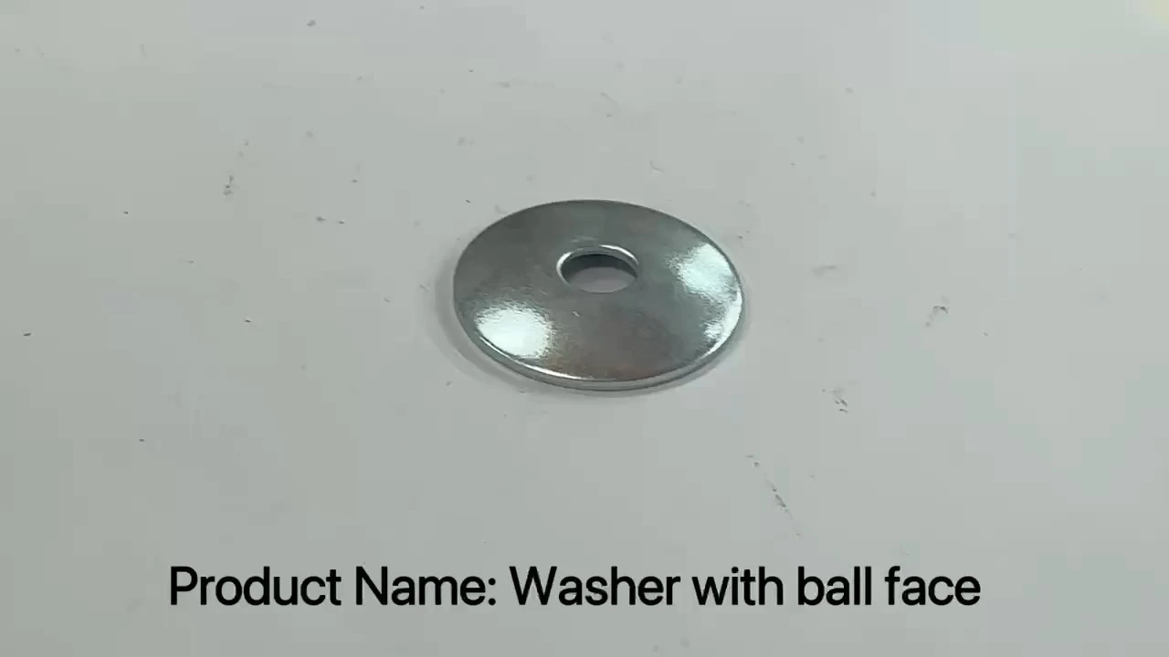 Most Popular High Quality GB849 Ball Face Washers SS304 Zinc Plated Sizes M6 M8 M10 M12 with Free Samples 1