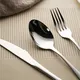 Crystal Houseware Black Flatware T-0453-S-L4 Black Flatwaredirectly Sale 6