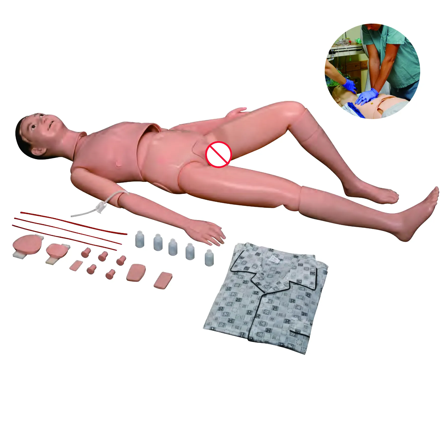 High Efficientmedical 3d Models Teaching Model 10kgs 3
