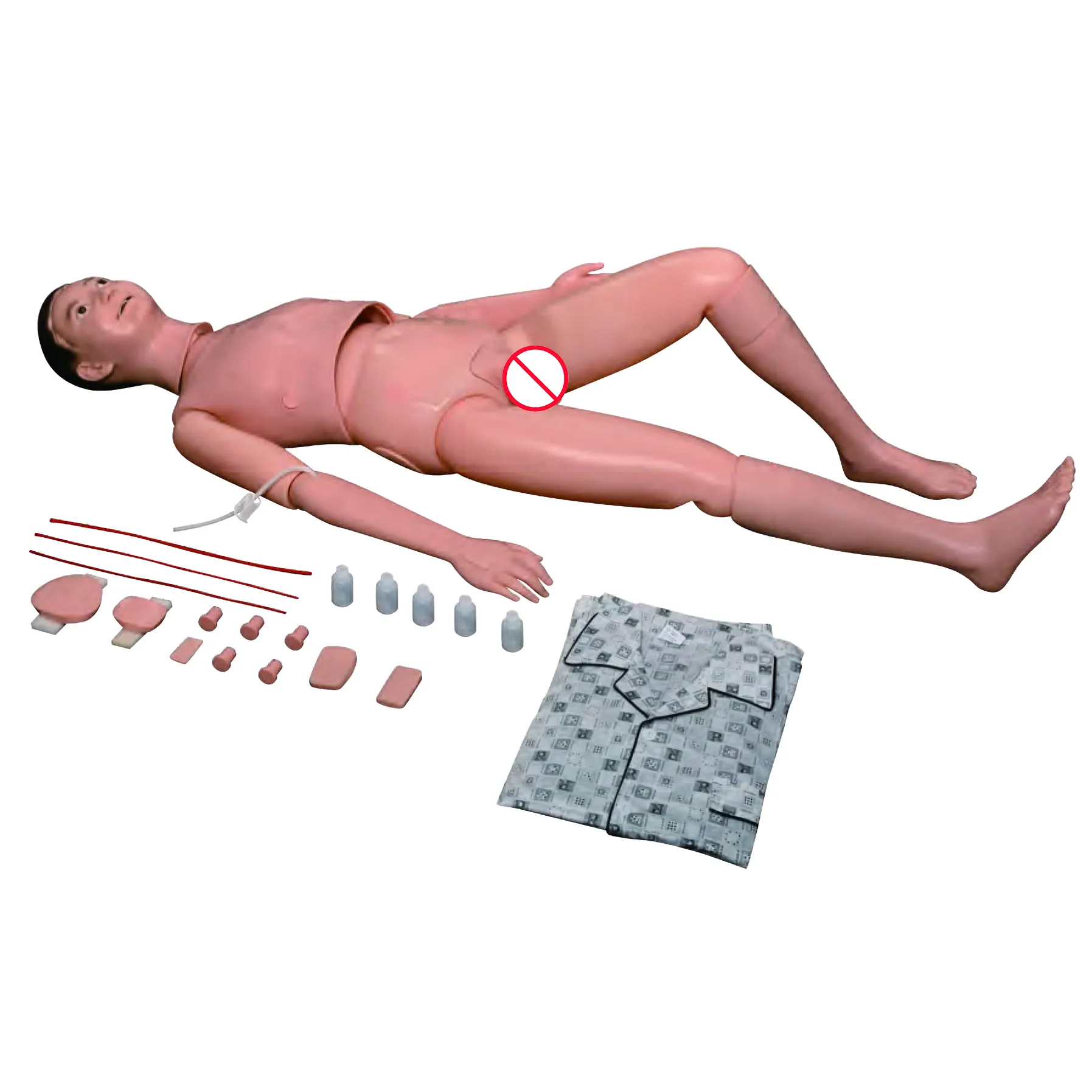 High Efficientmedical 3d Models Teaching Model 10kgs 2