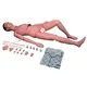 High Efficientmedical 3d Models Teaching Model 10kgs 2