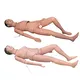 High Efficientmedical 3d Models Teaching Model 10kgs 5