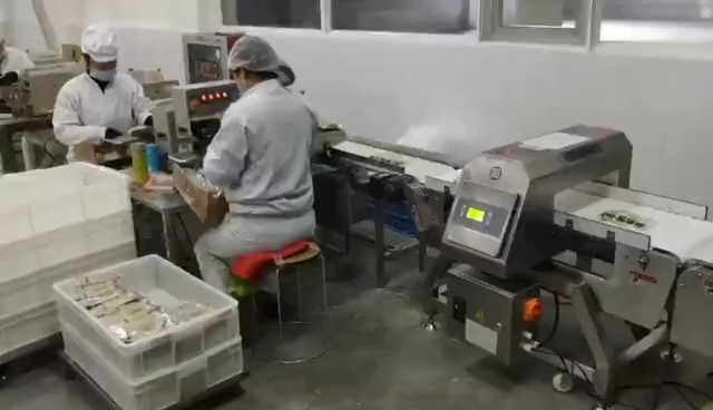 detector de metales 1