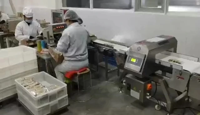 metal detector 1