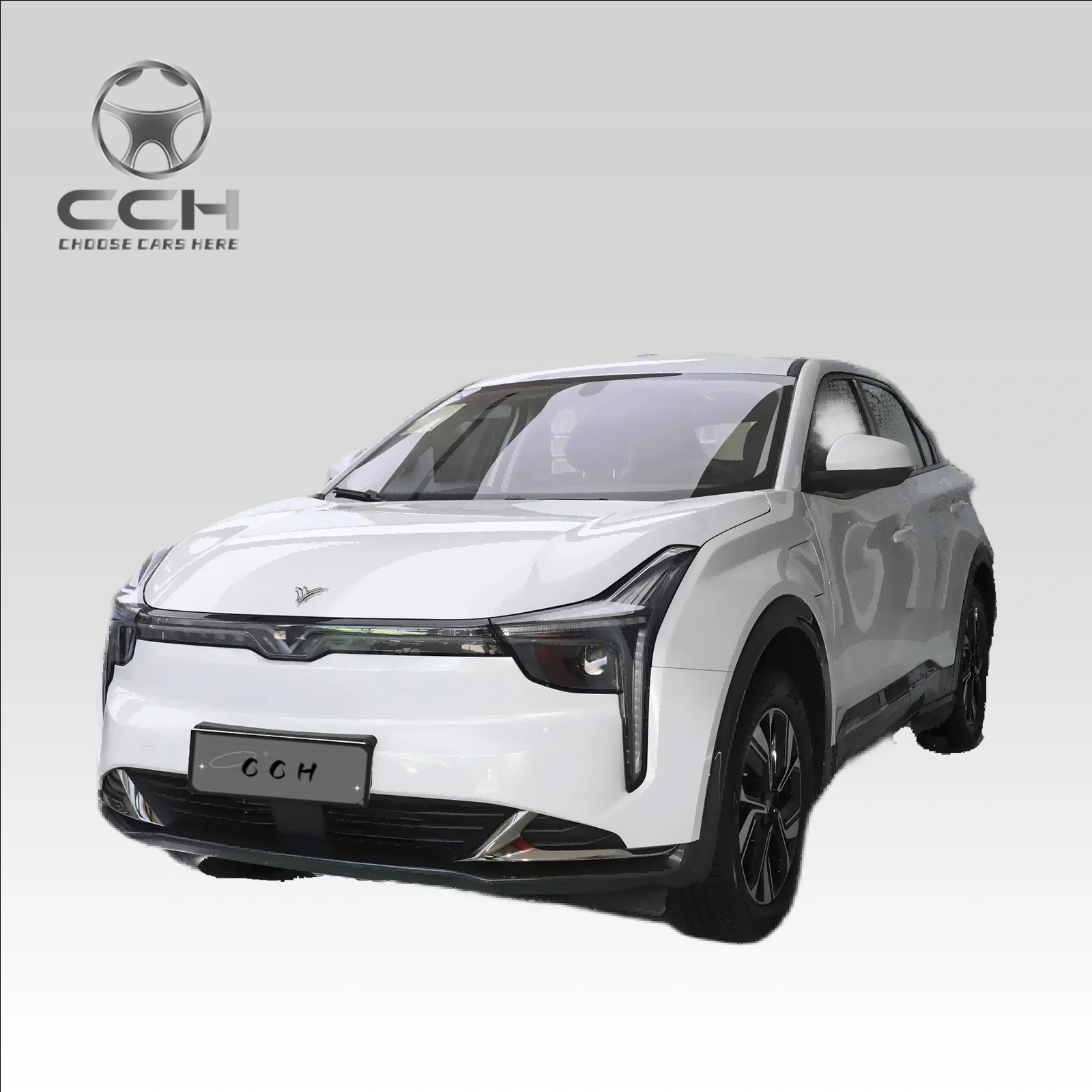 Neta U-Ⅱ 2023 con 400 Trilithium Suv de 5 puertas y 5 plazas Vehículo de carga rápida de 0,5 h Suv compacto eléctrico de 300 km a precio de cai usado 1