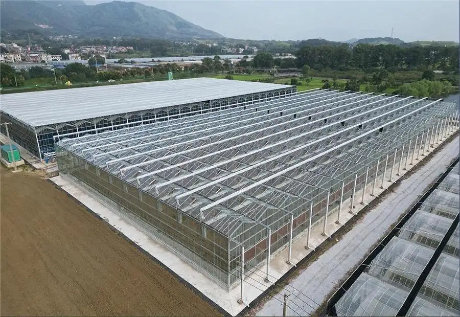 Custom Greenhouses T/T - - Jianda Greenhouse 2
