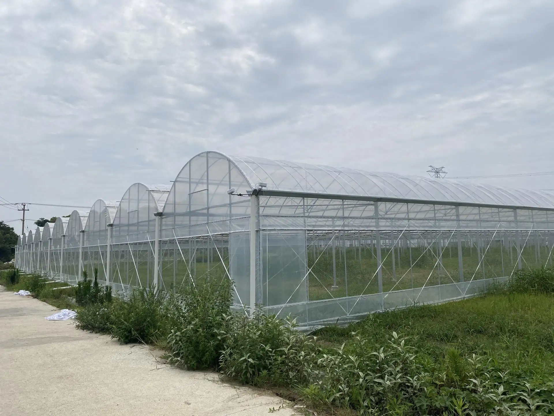 Greenhouses for Sale 1500 Square Meter - - Jianda Greenhouse 4